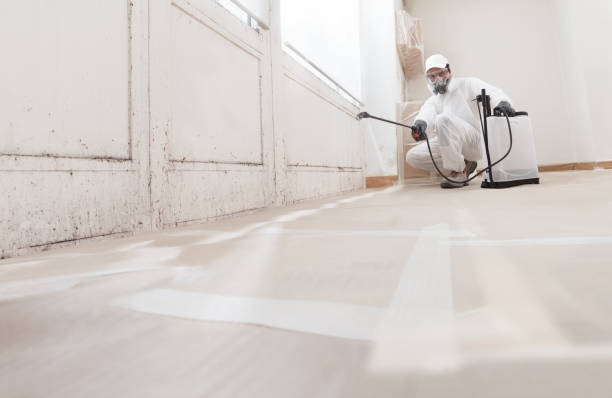 24/7 Emergency Mold Remediation experts in Rocky Mount, NC