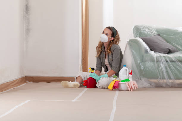 Reliable Mold Remediation contractor in Rocky Mount, NC by Car Mold Remediation