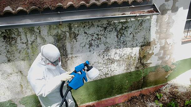 Top rated local Mold Remediation specialists in Rocky Mount, NC